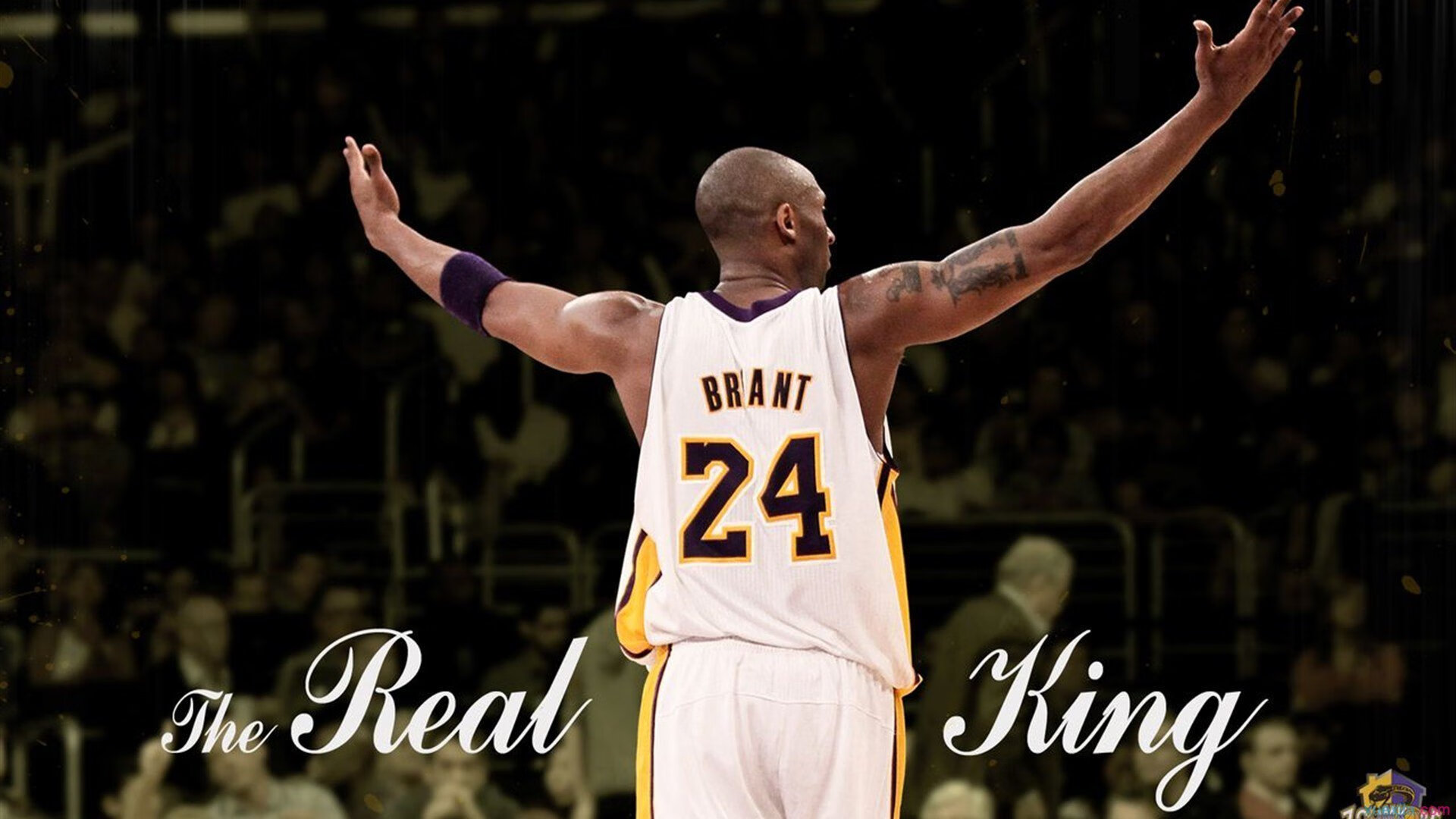 41分仍输球！墨菲生涯夜被马刺集体火力淹没，nba墨菲